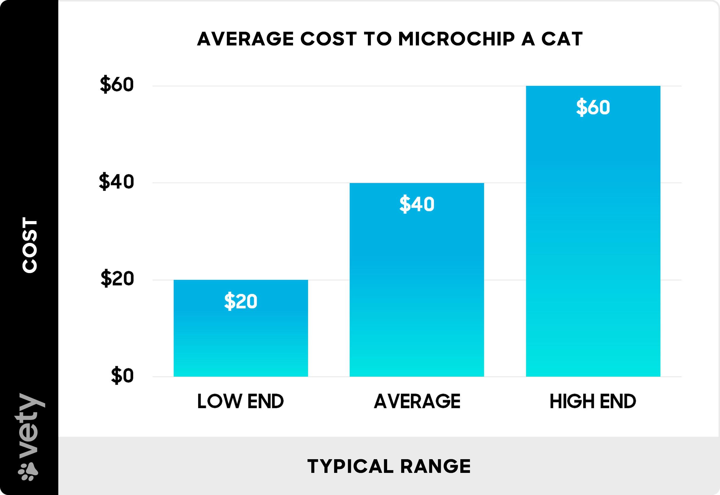 Understanding the Basics of Cat Microchipping Costs