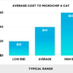 How much is it to microchip a cat