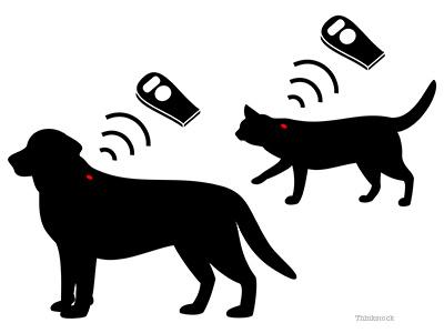 Tips for Budget-Friendly Microchipping Without Sacrificing Quality